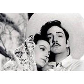 Marty Dieckmeyer's photo