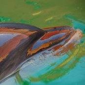 Ethen Huang's photo