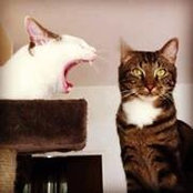 Brian Lopez's photo