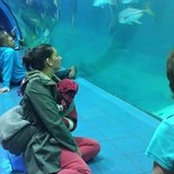 Sally Kearns's photo