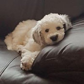 Brigitte Mousseau's photo
