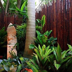 Bamboo Habitat