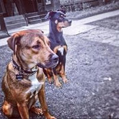 Marc Jones's photo