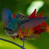 Pamela Shaw's photo