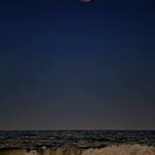 Shakthi Arvind's photo