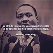 Nur Saris foto
