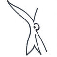 Humming Bird Soapstone's profile photo
