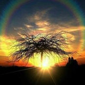 Julie Mills's photo