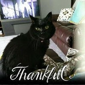 Sondra Bowling's photo