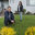 Just In Season Landscaping