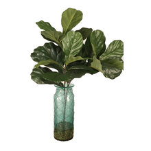 Houseplants & Arrangements