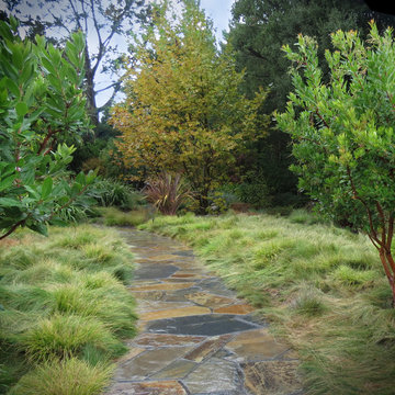 Our Gardens