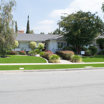 Front Yard Do Over