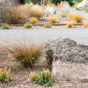 Plantings at Gravel Driveway
