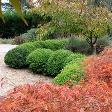 garden ideas