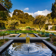 Koi Pond/water Features