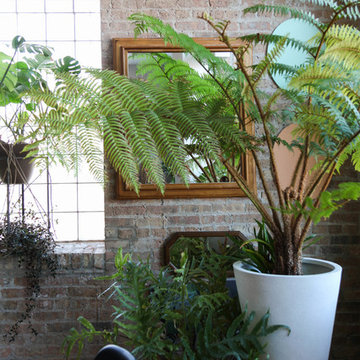 My Houzz: A Restaurateur’s Lush and Luxe Chicago Loft