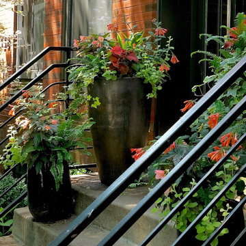 Summer Containers