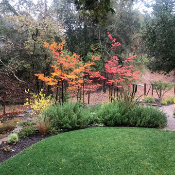 Incredible Award winning Lafeyette Garden