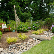 Dry River Bed