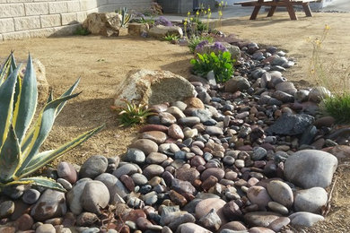 Inspiration for a contemporary landscaping in San Diego.