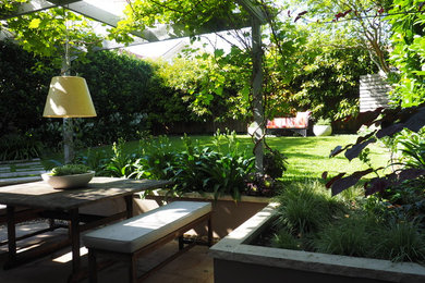 Inspiration for a mid-sized modern backyard shaded garden in Sydney.