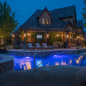 Naperville, IL Freeform Pool with Hot Tub and Beach Entry