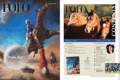 Press about horse polo art gallery