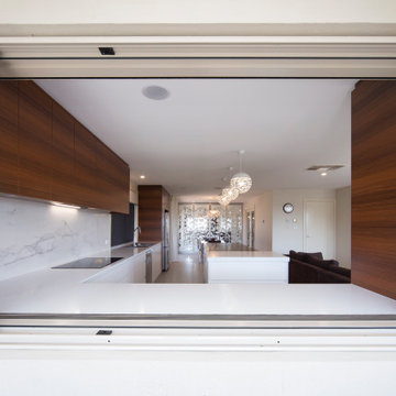 Modern Minimalist Kitchen/Dining/Outdoor