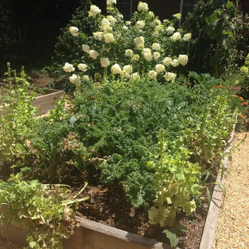 Edible Landscaping