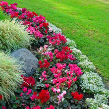 Outside - Landscaping / lighting