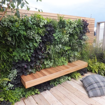 Gold award winning Living Wall for Tony woods at the RHS Flower Show Tatton Park