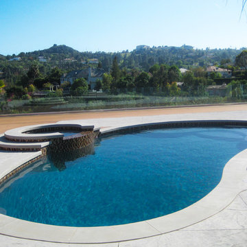 Contemporary Landscaping | Freeform Pool