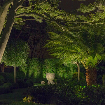 East Bay Residential Landscape Lighting