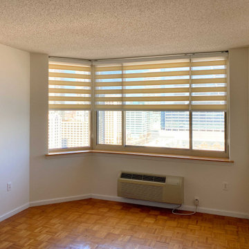 Springblinds Premium Zebra Dual Sheer Shades