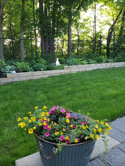 Shaded buddha Garden