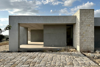 Ispirazione per la villa grande grigia contemporanea a un piano in pietra e intonaco con tetto piano