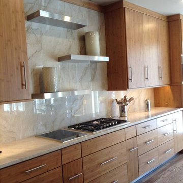 Contemporary Kitchens