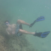 Nick Lincon's photo