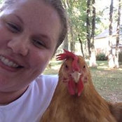 Katie Allred's photo