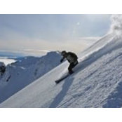Mike Gerrity's photo