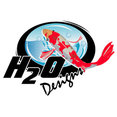 H2O Designs's profile photo