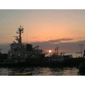 Fatima Perestrelo's photo