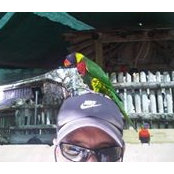 Anthony White's photo