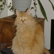 Yolanda Nieto's photo