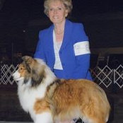 Sylvia Calderwood's photo