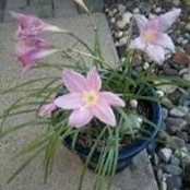 Robin Kieffer's photo