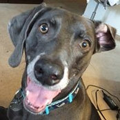 Logan Miller's photo
