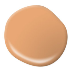 Sweet Curry M230-5 - Paint