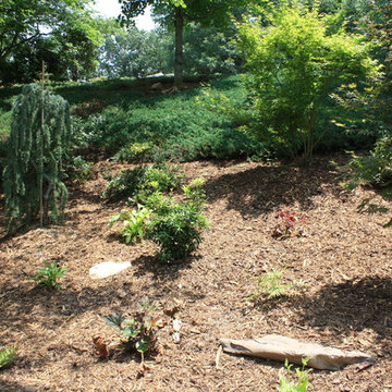 Hillside Gardening